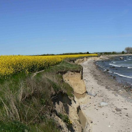 Strandperle 2 - Гросенброде Екстер'єр фото